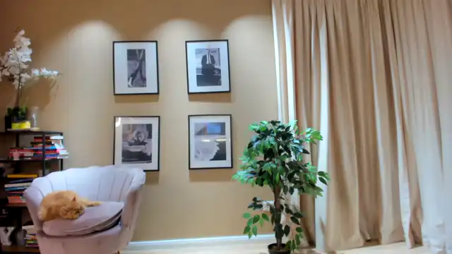 Serendypity – Myfreecams Record Video – 2026-02-15 12:15:53