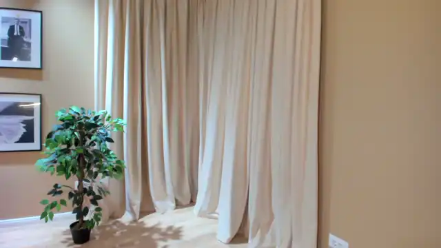Serendypity – Myfreecams Record Video – 2025-11-29 01:01:04