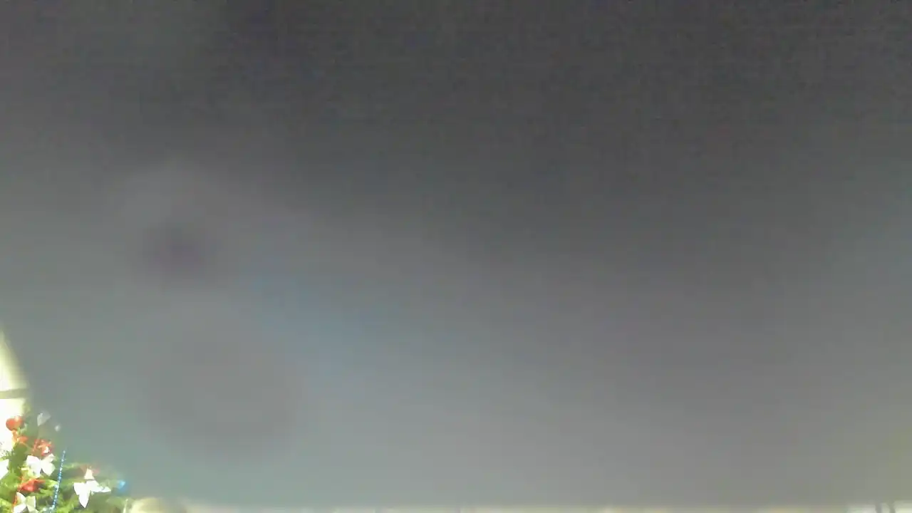 Marmeid_ – Showup Record Video – 2025-03-19 22:15:58