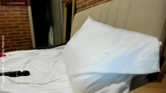 Ai_deep_dream – Myfreecams Record Video – 2026-01-01 00:15:20