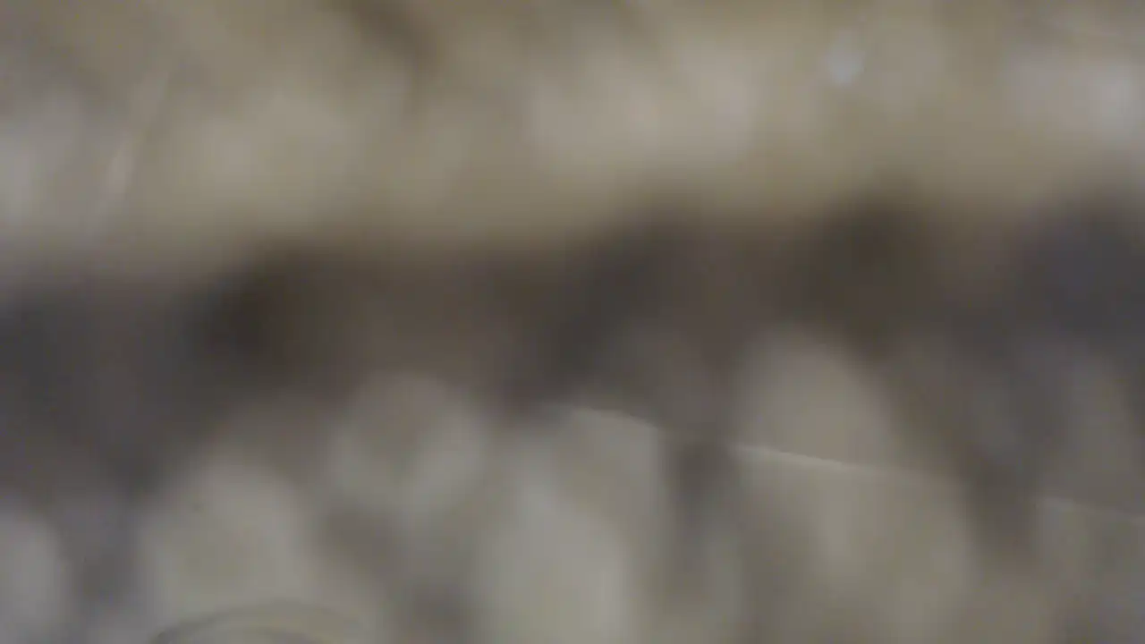 Anal_girll_ – Showup Record Video – 2025-09-20 02:56:28