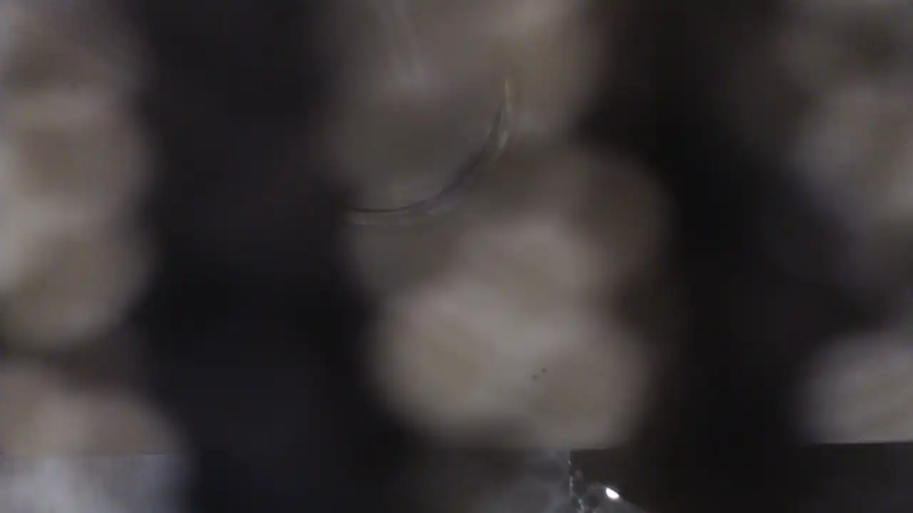 Anal_girll_ – Showup Record Video – 2025-02-08 13:21:18