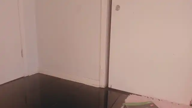 Naomidee – Myfreecams Record Video – 2025-11-22 01:04:19
