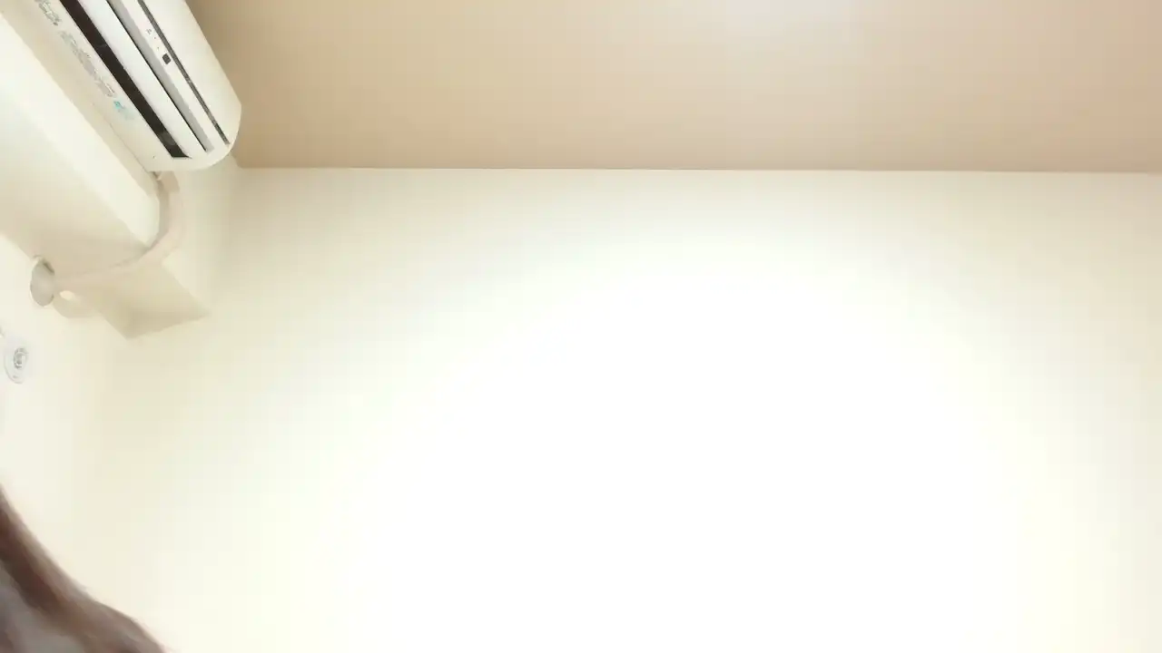 Harunawxw – Sakuralive Record Video – 2025-05-06 21:03:59