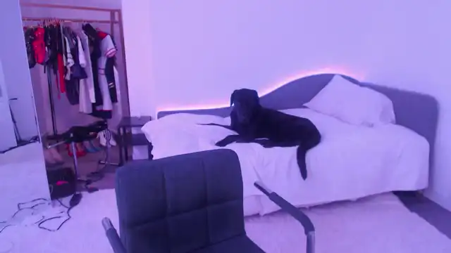 Juicyjaimee – Myfreecams Record Video – 2025-12-15 00:14:48