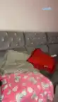 G-karimpink – Camsoda Record Video – 2025-06-06 18:49:25