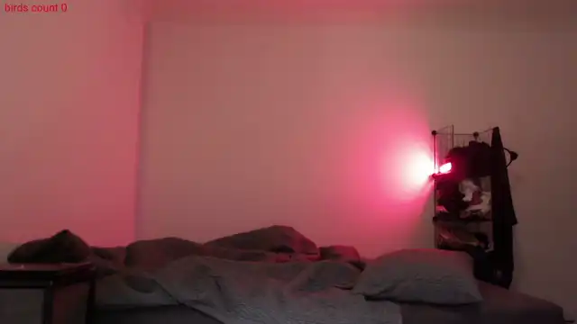 Roomtoavoid – Myfreecams Record Video – 2025-06-27 01:55:11